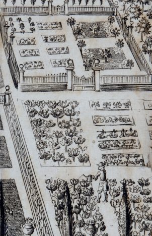 Late 17th century vegetable garden. From The new art of gardening by Leonard Meager.” width=